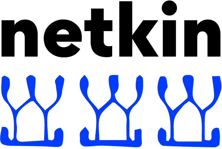 Online Marketing Agentur aus Köln netkin Logo
